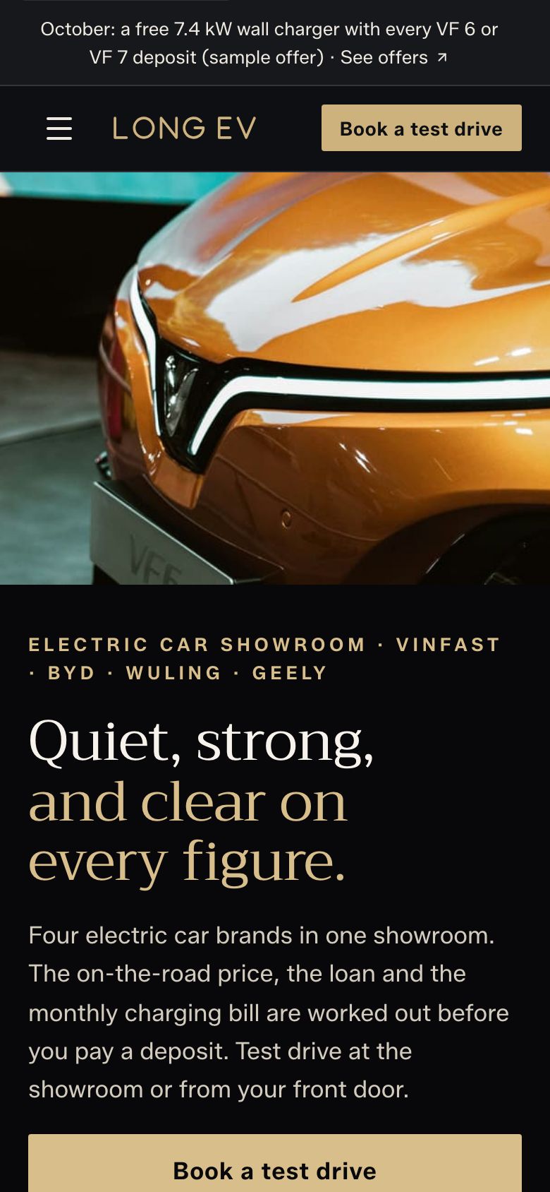 Long EV template home page on a phone